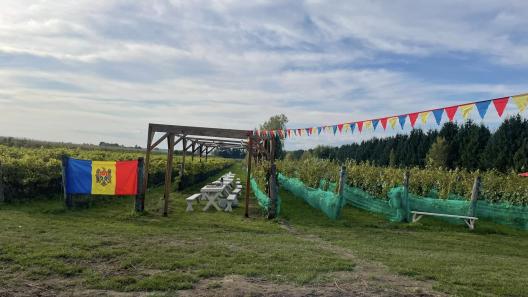 Programul DEH ”Ziua Moldovei la Montreal – Chef de Moldova” – o punte de legătură a diasporei din Canada cu țara de origine