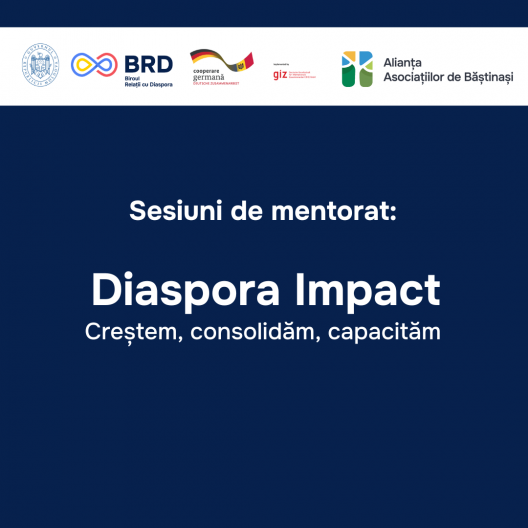 18 asociații diasporale și grupuri de inițiativă beneficiază de sesiuni de mentorat în cadrul Programului „Diaspora Impact”